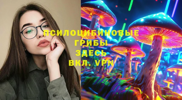 кокс Богородск