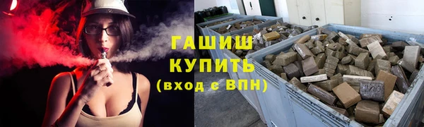 гидра Покачи