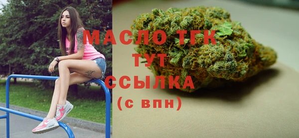 гидра Покачи