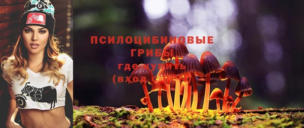 мескалин Богданович
