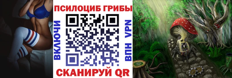 цены наркотик  Свирск  Галлюциногенные грибы MAGIC MUSHROOMS 